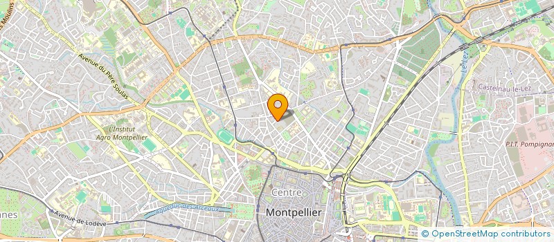 localisation de l'entreprise MONSIEUR SAPHIR COCHETEUX à MONTPELLIER