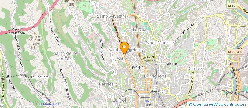 localisation de l'entreprise MONSIEUR SARGIS AVDICHIAN  NICE