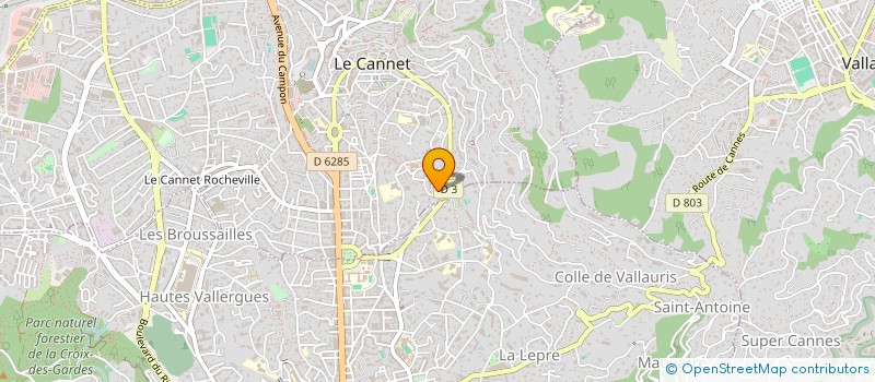 localisation de l'entreprise MONSIEUR SARKIS NAJARIAN  LE CANNET