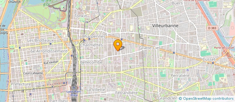 localisation de l'entreprise MONSIEUR SAULIUS JARMALAVICIUS  VILLEURBANNE