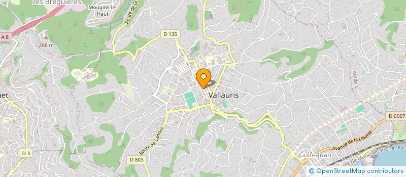 localisation de l'entreprise MONSIEUR SAUVEUR BORDONARO à VALLAURIS