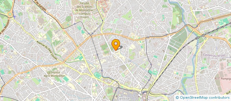 localisation de l'entreprise MONSIEUR SAUVEUR FERRIGNO à MONTPELLIER