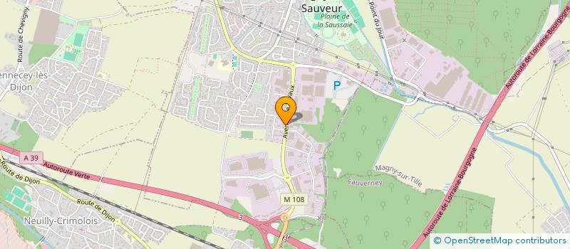 localisation de l'entreprise MONSIEUR SAUVEUR MORANA à CHEVIGNY-SAINT-SAUVEUR