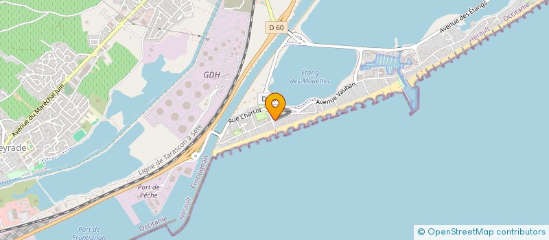 localisation de l'entreprise MONSIEUR SAUVEUR SALARIS à FRONTIGNAN