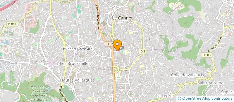 localisation de l'entreprise MONSIEUR SAVIN NELIPOVSCHI à LE CANNET