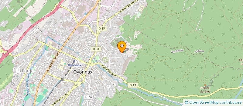 localisation de l'entreprise MONSIEUR SAYE YA  OYONNAX