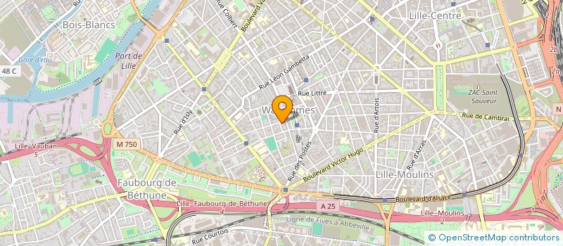 localisation de l'entreprise MONSIEUR SAYED NASSAR à LILLE