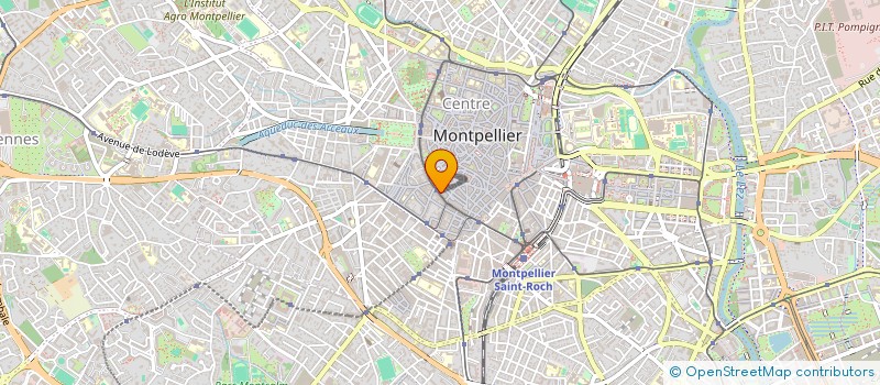 localisation de l'entreprise MONSIEUR SAYMON AHMED à MONTPELLIER