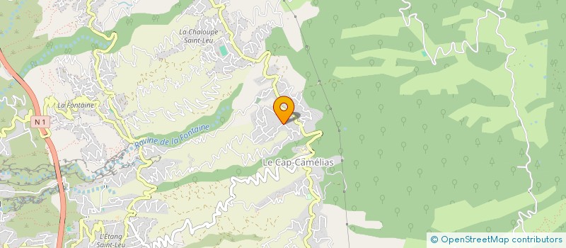 localisation de l'entreprise MONSIEUR SCHOLASTIEN MAILLOT  SAINT-LEU