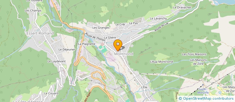 localisation de l'entreprise MONSIEUR SEAN PATRICK AYERST WHITING à MORZINE
