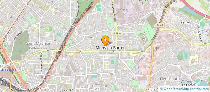 localisation de l'entreprise MONSIEUR SEBASTIEN AFCHAIN  MONS-EN-BARUL