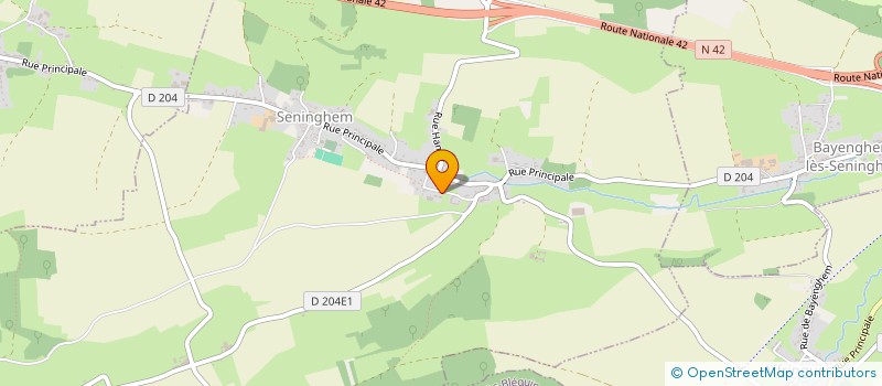 localisation de l'entreprise MONSIEUR SEBASTIEN ALBERT DES SAUVAGE  SENINGHEM