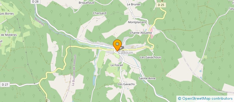 localisation de l'entreprise MONSIEUR SEBASTIEN AMOUROUX  LE BUISSON-DE-CADOUIN