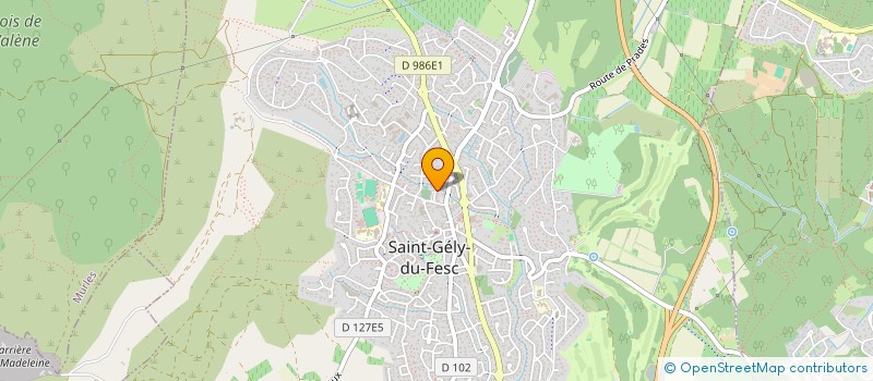 localisation de l'entreprise MONSIEUR SEBASTIEN BICHON  SAINT-GELY-DU-FESC