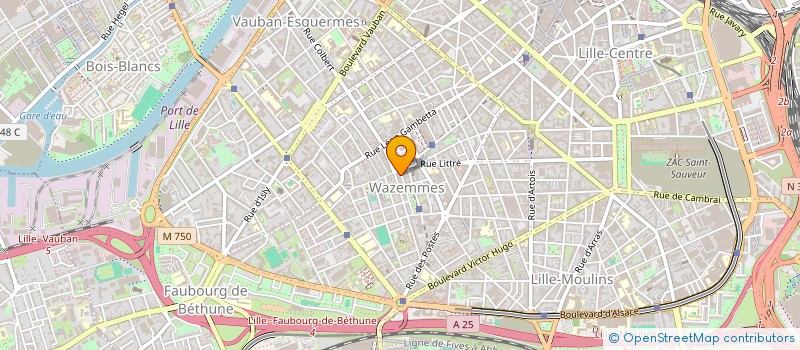 localisation de l'entreprise MONSIEUR SEBASTIEN DAMMAN à LILLE