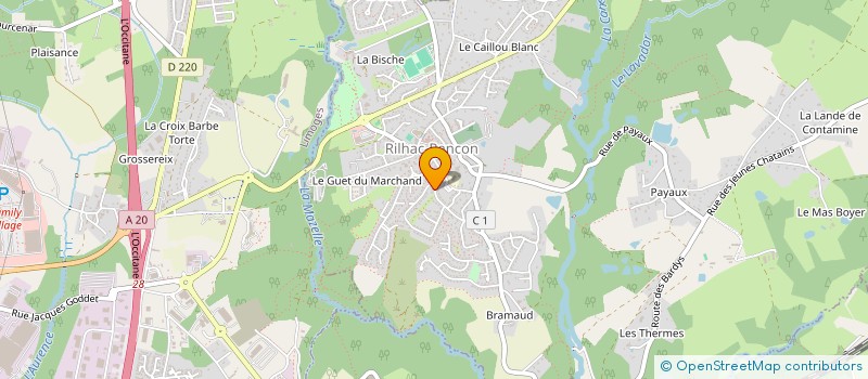 localisation de l'entreprise MONSIEUR SEBASTIEN DOURSENAUD à RILHAC-RANCON