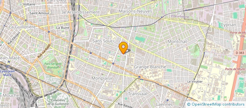 localisation de l'entreprise MONSIEUR SEBASTIEN DUMOULIN à LYON