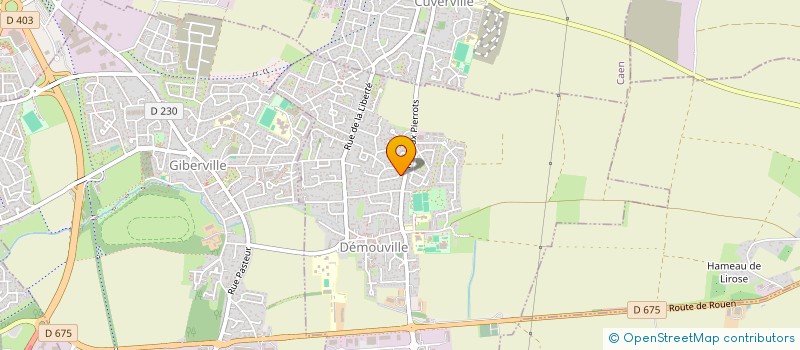 localisation de l'entreprise MONSIEUR SEBASTIEN DUQUESNE  DEMOUVILLE