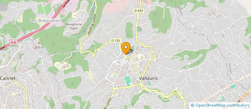 localisation de l'entreprise MONSIEUR SEBASTIEN ESCOBAR  VALLAURIS