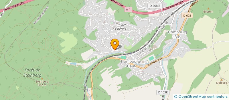 localisation de l'entreprise MONSIEUR SEBASTIEN HIRT à HOMBOURG-HAUT