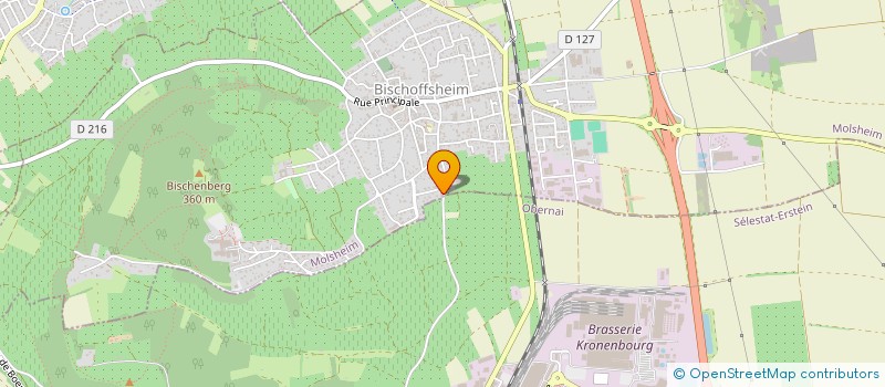 localisation de l'entreprise MONSIEUR SEBASTIEN HUBRECHT  BISCHOFFSHEIM