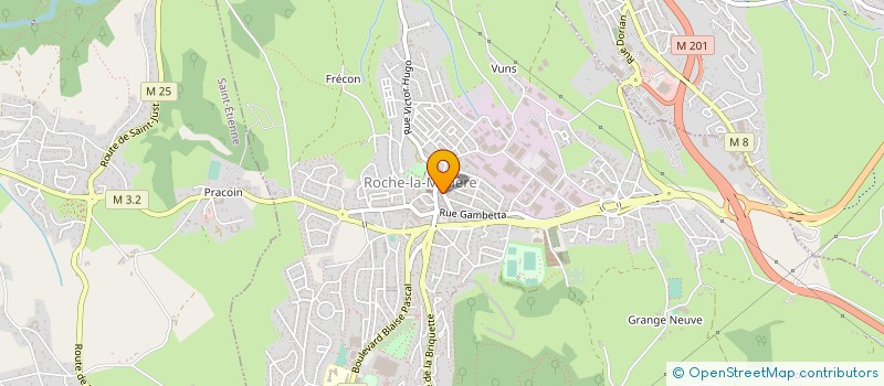 localisation de l'entreprise MONSIEUR SEBASTIEN JEZIORNY  ROCHE-LA-MOLIERE