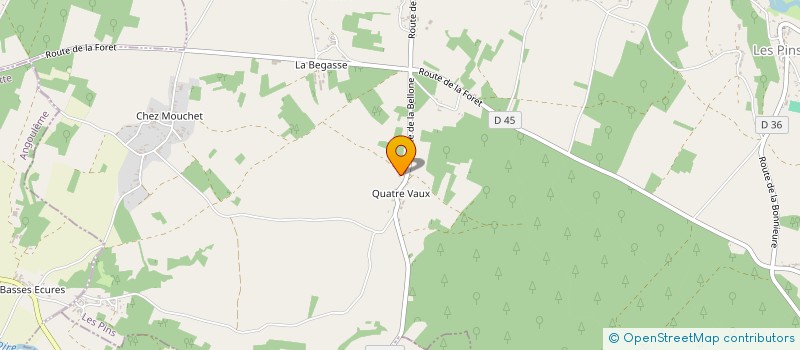 localisation de l'entreprise MONSIEUR SEBASTIEN LEVEQUE à LES PINS