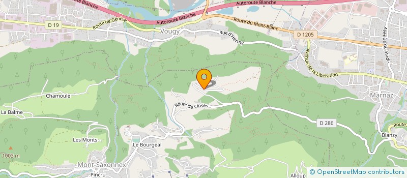 localisation de l'entreprise MONSIEUR SEBASTIEN LOIZON  MONT-SAXONNEX