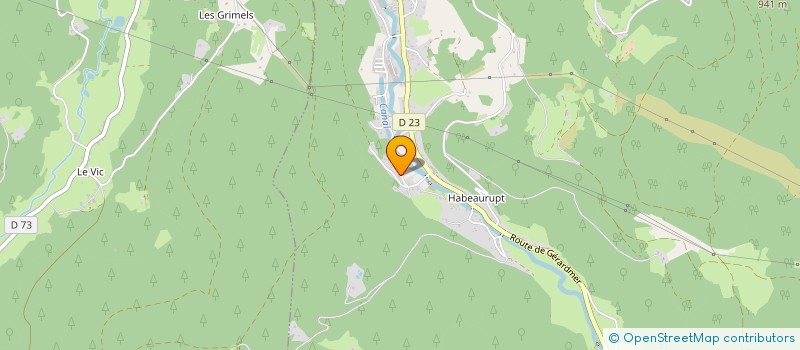 localisation de l'entreprise MONSIEUR SEBASTIEN MANGEONJEAN  PLAINFAING