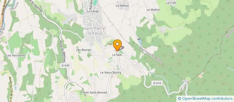 localisation de l'entreprise MONSIEUR SEBASTIEN MAZALLON  SAINT-PIERRE-LA-PALUD