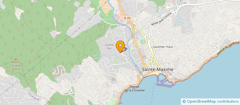 localisation de l'entreprise MONSIEUR SEBASTIEN PELLEGRIN à SAINTE-MAXIME