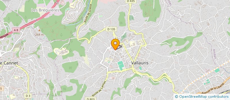 localisation de l'entreprise MONSIEUR SEBASTIEN POIRIER à VALLAURIS