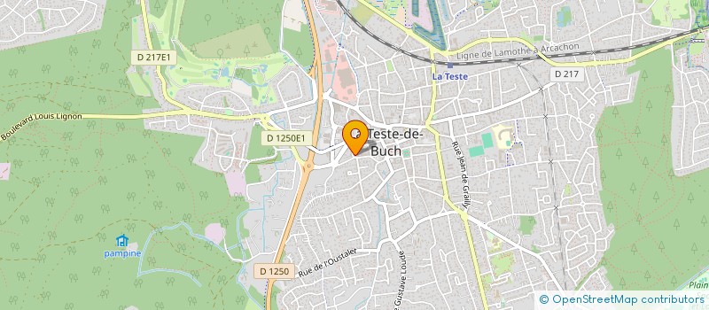 localisation de l'entreprise MONSIEUR SEBASTIEN SALLES à LA TESTE-DE-BUCH