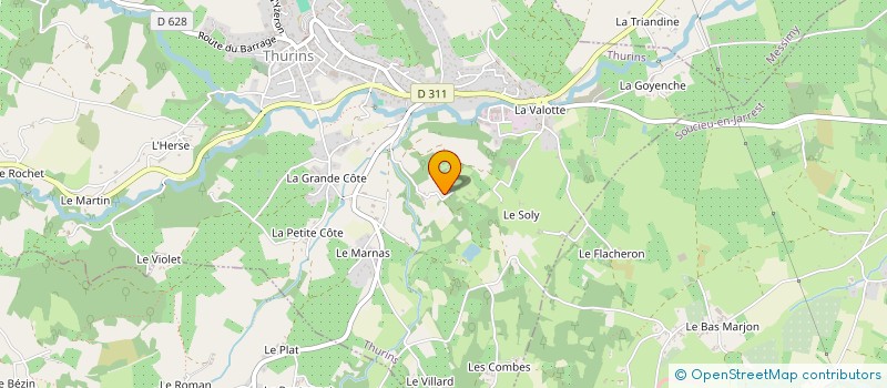 localisation de l'entreprise MONSIEUR SEBASTIEN THIVILLON à THURINS