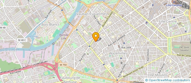 localisation de l'entreprise MONSIEUR SEBASTIEN TOULEMONDE à LILLE