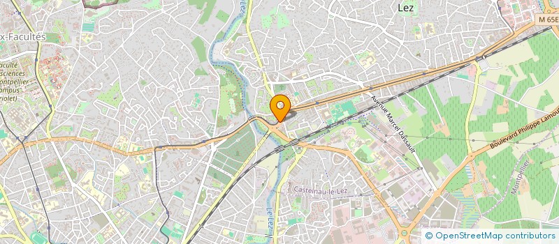 localisation de l'entreprise MONSIEUR SEBASTIEN TREBUCHET  CASTELNAU-LE-LEZ