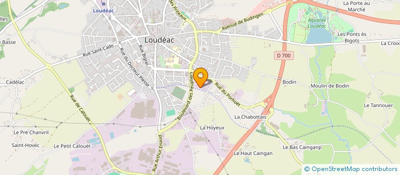 localisation de l'entreprise MONSIEUR SEBASTIEN TRONCHON à LOUDEAC