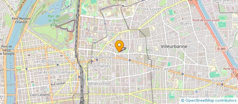 localisation de l'entreprise MONSIEUR SEKOU DOUMASSY  VILLEURBANNE