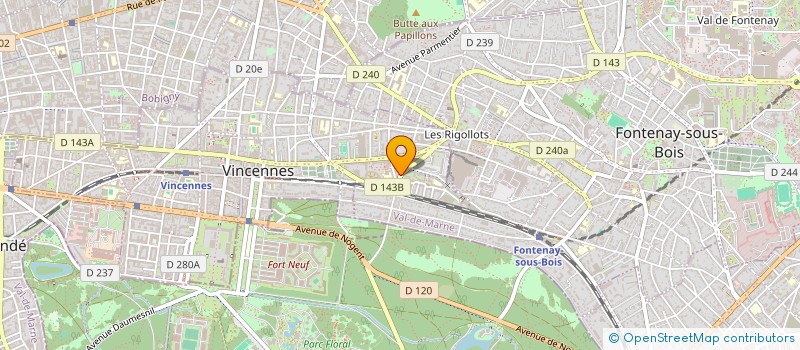 localisation de l'entreprise MONSIEUR SELAHATTIN SAYGIN GOKHAN  VINCENNES