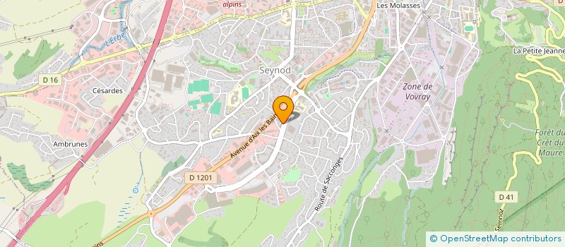 localisation de l'entreprise MONSIEUR SELIM BEHLULI à ANNECY
