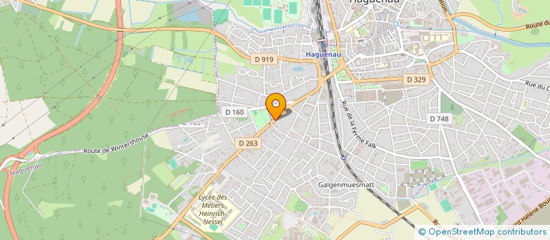 localisation de l'entreprise MONSIEUR SELIM GUMUSTEPE  HAGUENAU