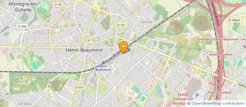 localisation de l'entreprise MONSIEUR SELIM NICHANE  HENIN-BEAUMONT