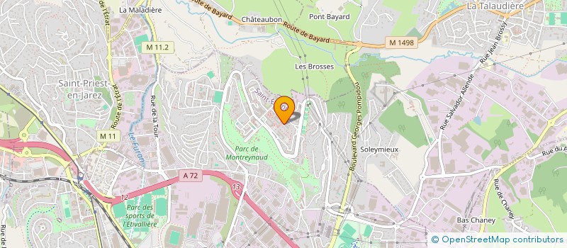 localisation de l'entreprise MONSIEUR SELMANE KHODRI  SAINT-ETIENNE