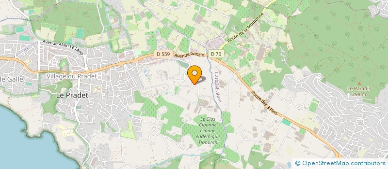 localisation de l'entreprise MONSIEUR SENY SAMB  LE PRADET