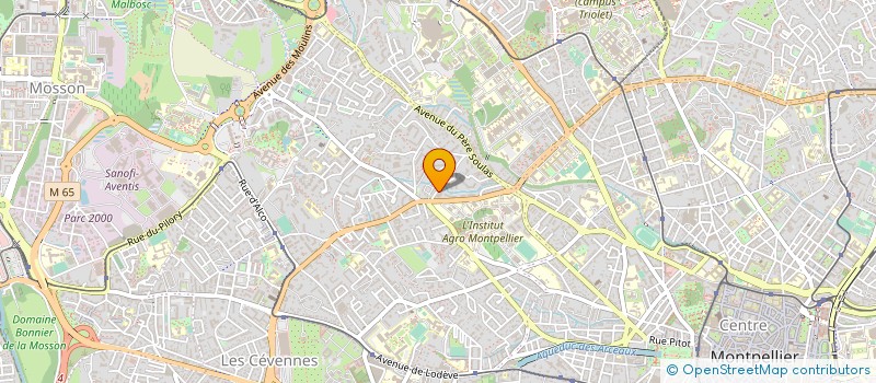 localisation de l'entreprise MONSIEUR SERGE AMIANO à MONTPELLIER