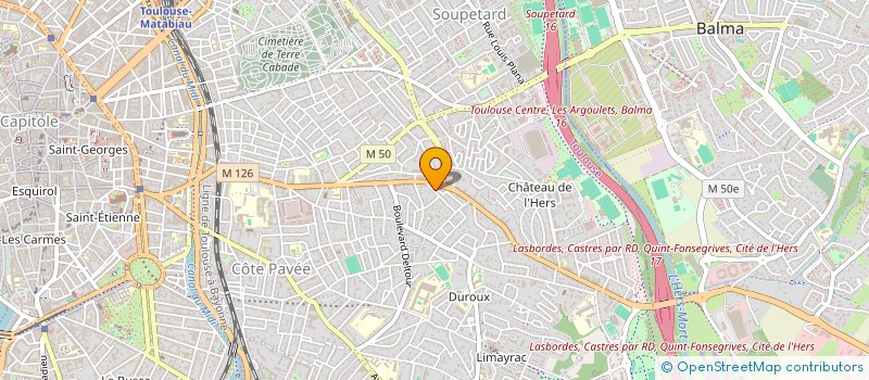 localisation de l'entreprise MONSIEUR SERGE BIRAULT à TOULOUSE