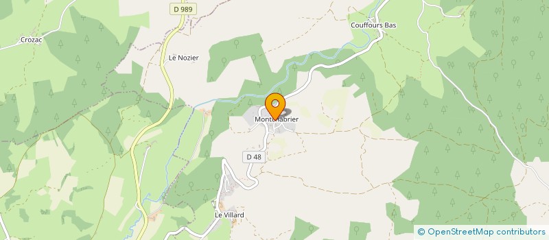 localisation de l'entreprise MONSIEUR SERGE CONSTANT à LE MALZIEU FORAIN