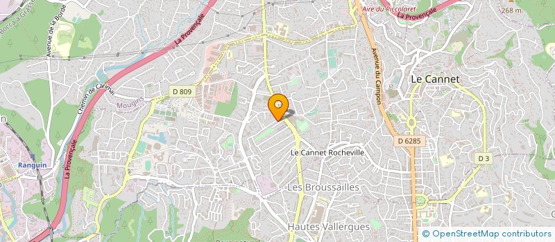 localisation de l'entreprise MONSIEUR SERGE CRISCUOLO à LE CANNET