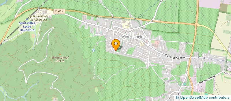 localisation de l'entreprise MONSIEUR SERGE DAILLY  WINTZENHEIM