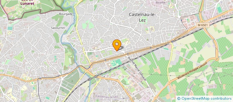 localisation de l'entreprise MONSIEUR SERGE DE LUSSY à CASTELNAU-LE-LEZ